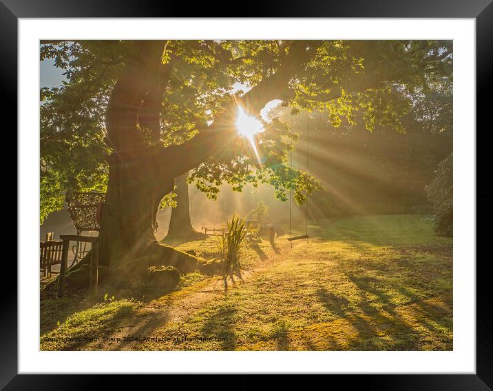 Daybreak Radiates Through the Boughs by the Garden Swing Framed Mounted Print by Kenn Sharp