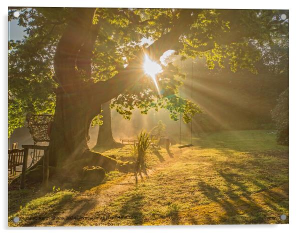 Daybreak Radiates Through the Boughs by the Garden Swing Acrylic by Kenn Sharp