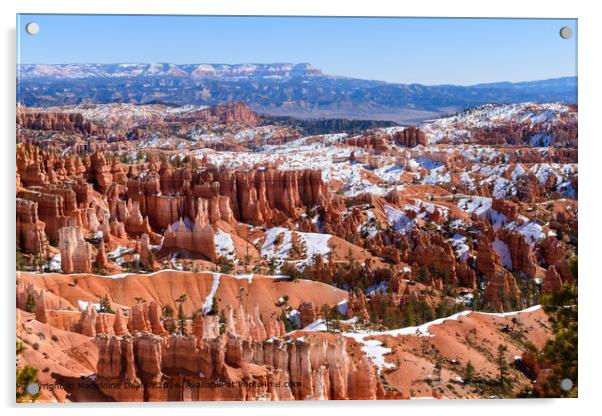 Scenic View of Bryce Canyon from the Queens Garden Trail During Winter Acrylic by Madeleine Deaton