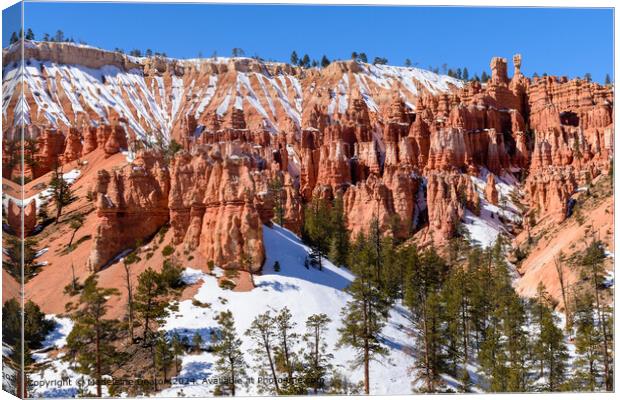 Bryce Canyon Snowy Hoodoos Canvas Print by Madeleine Deaton