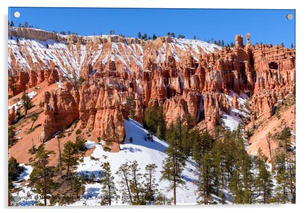 Bryce Canyon Snowy Hoodoos Acrylic by Madeleine Deaton