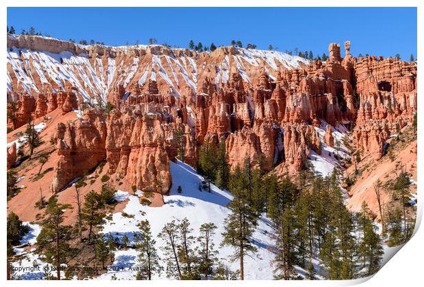 Bryce Canyon Snowy Hoodoos Print by Madeleine Deaton