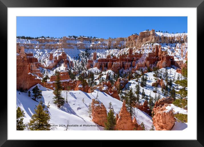 Bryce Canyon Snowy Landscape Framed Mounted Print by Madeleine Deaton