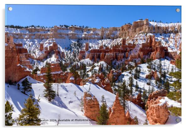 Bryce Canyon Snowy Landscape Acrylic by Madeleine Deaton