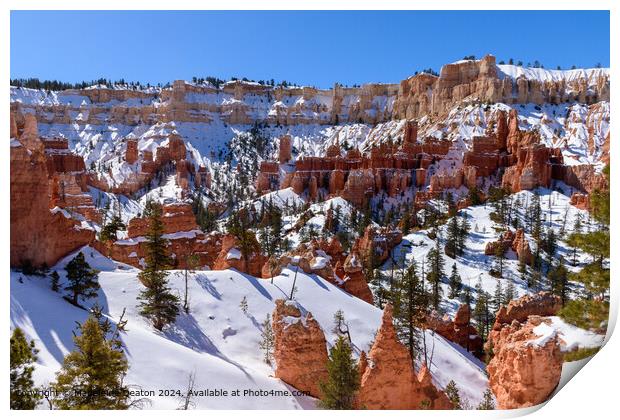 Bryce Canyon Snowy Landscape Print by Madeleine Deaton
