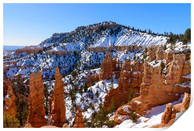 Bryce Canyon Snowy Cliffs Print by Madeleine Deaton