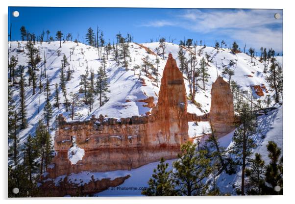 Bryce Canyon National Park Winter Wonderland Acrylic by Madeleine Deaton