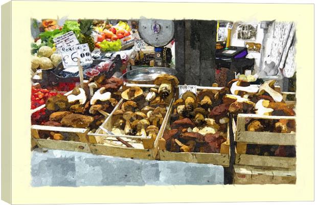 Delicious mushrooms in a Tuscan market Canvas Print by Steve Painter