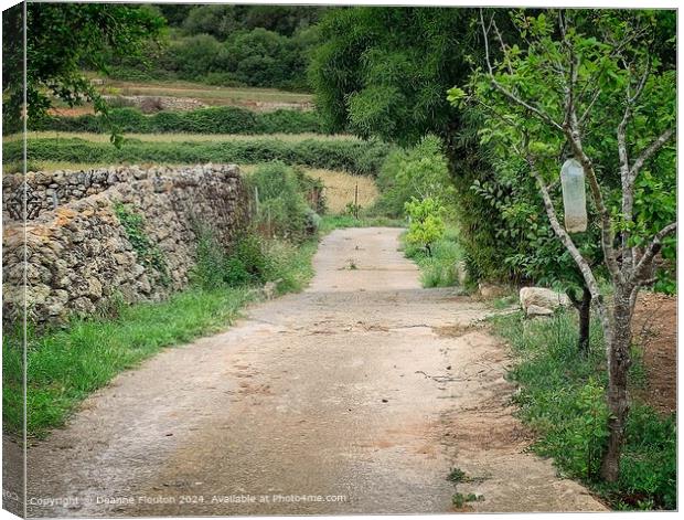 Tranquil Menorca Countryside Lane Canvas Print by Deanne Flouton