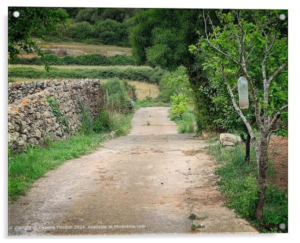 Tranquil Menorca Countryside Lane Acrylic by Deanne Flouton