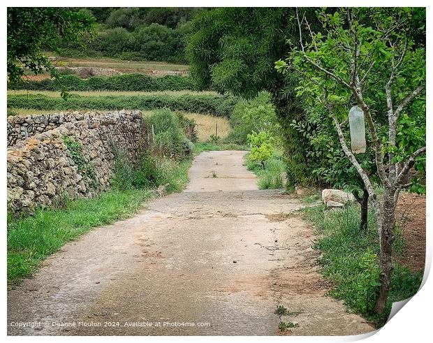 Tranquil Menorca Countryside Lane Print by Deanne Flouton
