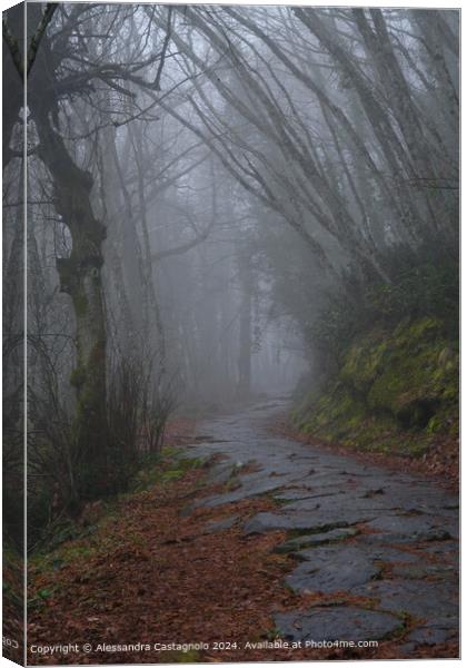 Misty Forest Sacred Path  Canvas Print by Alessandra Castagnolo