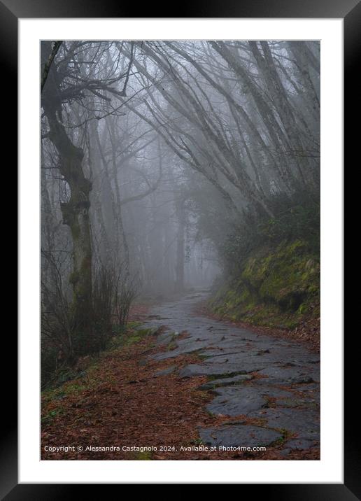 Misty Forest Sacred Path  Framed Mounted Print by Alessandra Castagnolo
