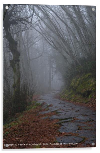 Misty Forest Sacred Path  Acrylic by Alessandra Castagnolo