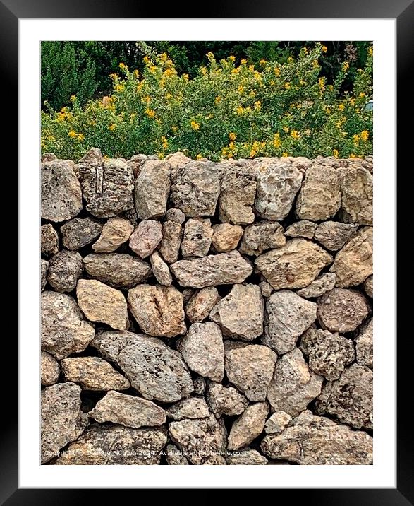 Menorca Stone Wall Landscape Framed Mounted Print by Deanne Flouton