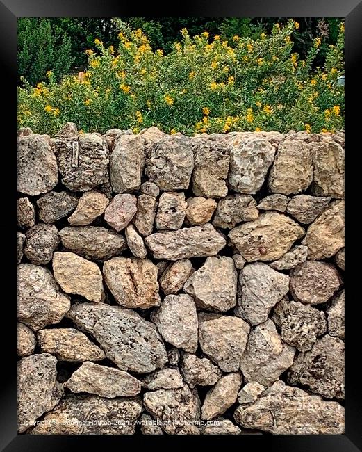Menorca Stone Wall Landscape Framed Print by Deanne Flouton