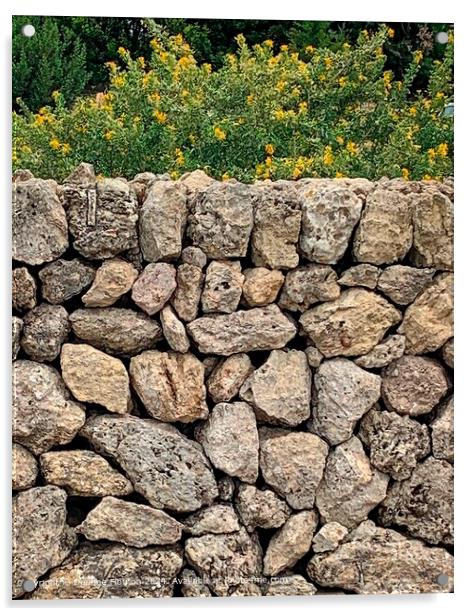 Menorca Stone Wall Landscape Acrylic by Deanne Flouton