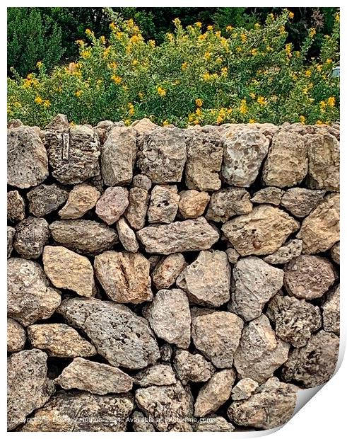Menorca Stone Wall Landscape Print by Deanne Flouton