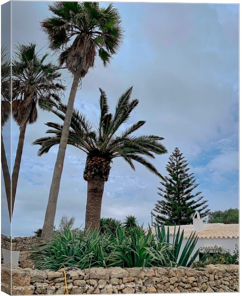 Palms and Araucaria in Garden Landscape Canvas Print by Deanne Flouton