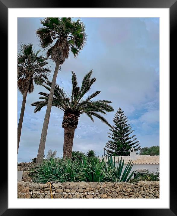 Palms and Araucaria in Garden Landscape Framed Mounted Print by Deanne Flouton