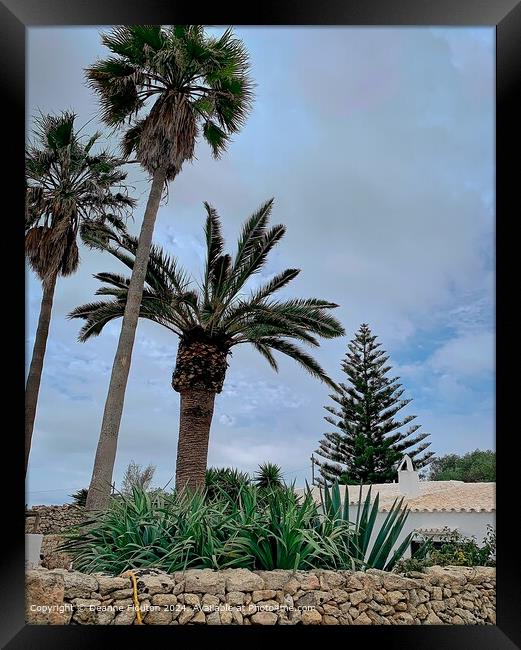 Palms and Araucaria in Garden Landscape Framed Print by Deanne Flouton