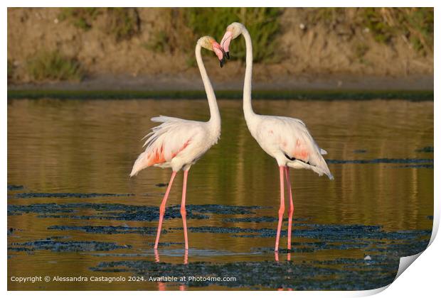Romantic Flamingos in Puglia Print by Alessandra Castagnolo