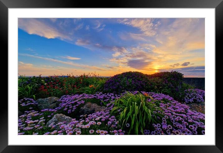 Cleveleys Promenade Daisies Sunset Framed Mounted Print by Michele Davis