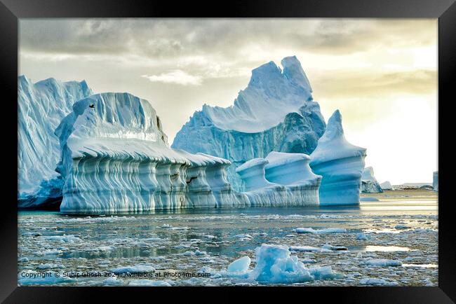 Antarctic Iceberg: Blue, Bird, Structure Framed Print by Subir Ghosh