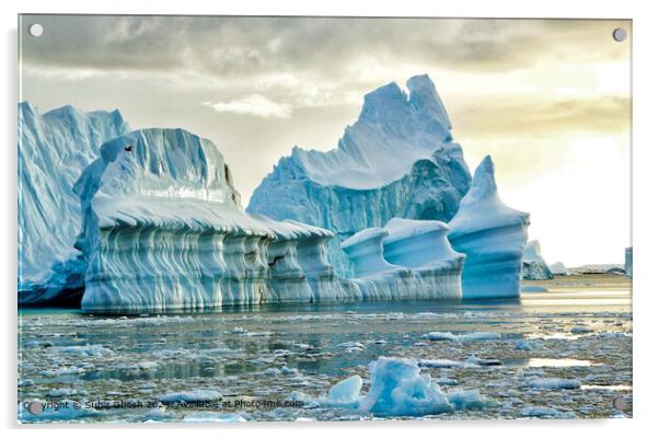 Antarctic Iceberg: Blue, Bird, Structure Acrylic by Subir Ghosh