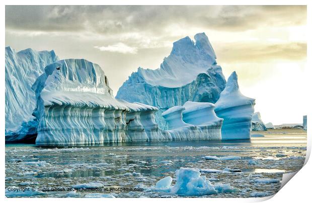 Antarctic Iceberg: Blue, Bird, Structure Print by Subir Ghosh