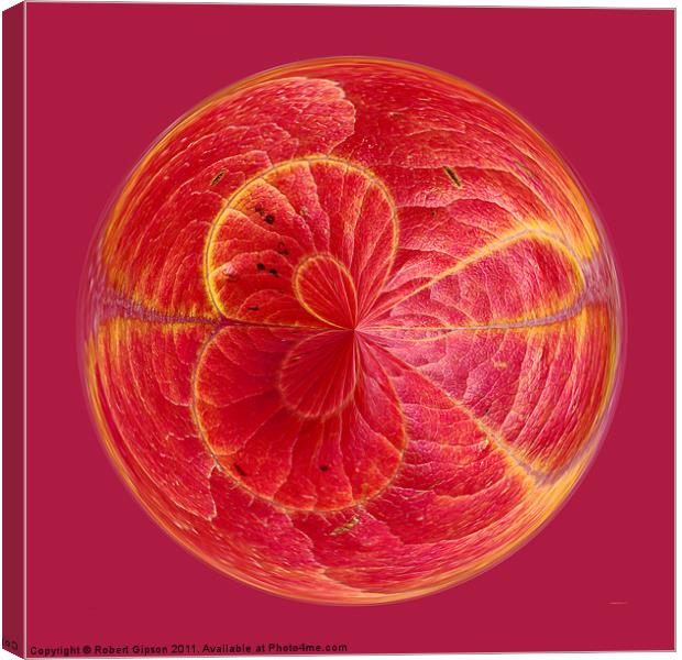 Spherical Red Autumn decay Canvas Print by Robert Gipson