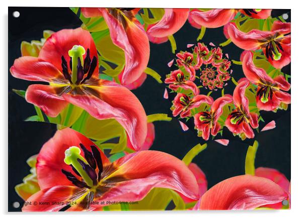 Vibrant Tulip Spiral Abstract Acrylic by Kenn Sharp