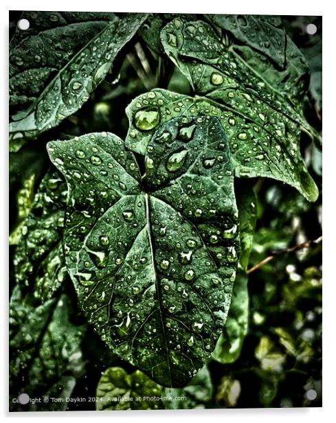 Dramatic wet leaf Acrylic by Tom Daykin