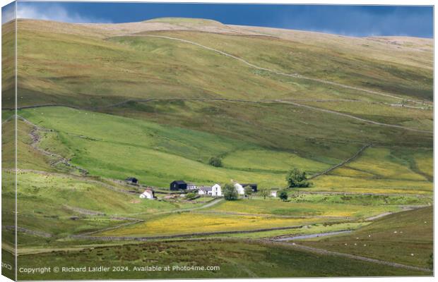 Marshes Gill Farm, Harwood, Upper Teesdale Canvas Print by Richard Laidler