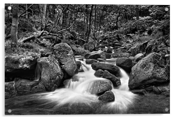 Padley Gorge  Acrylic by Darren Galpin