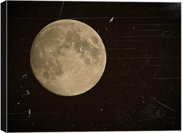 The Face of the Moon Canvas Print by Katie Anderson