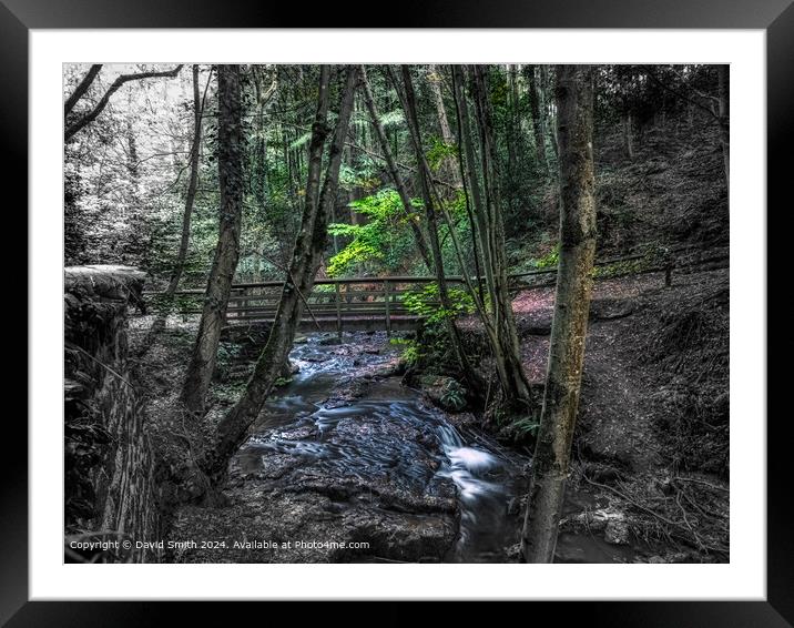 Serene Forest Stream Framed Mounted Print by David Smith