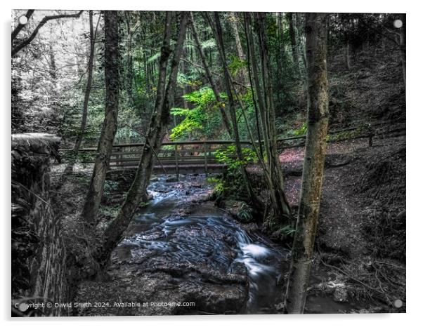 Serene Forest Stream Acrylic by David Smith