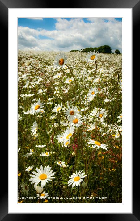Sunlit Daisy Meadow in Cotswolds Framed Mounted Print by Simon Johnson