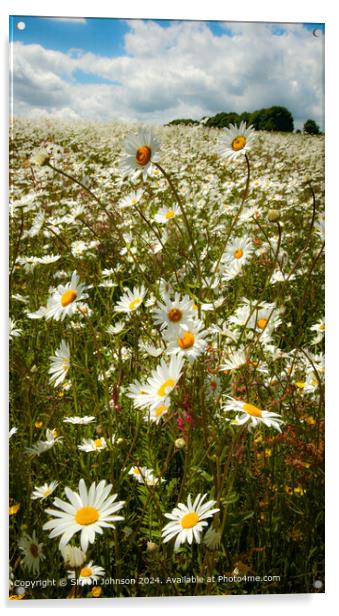 Sunlit Daisy Meadow in Cotswolds Acrylic by Simon Johnson