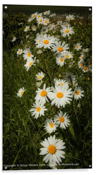 Vibrant Daisy Trail in Cotswolds, Gloucestershire Acrylic by Simon Johnson