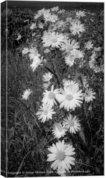 Daisy Trail Cotswolds Landscape Canvas Print by Simon Johnson