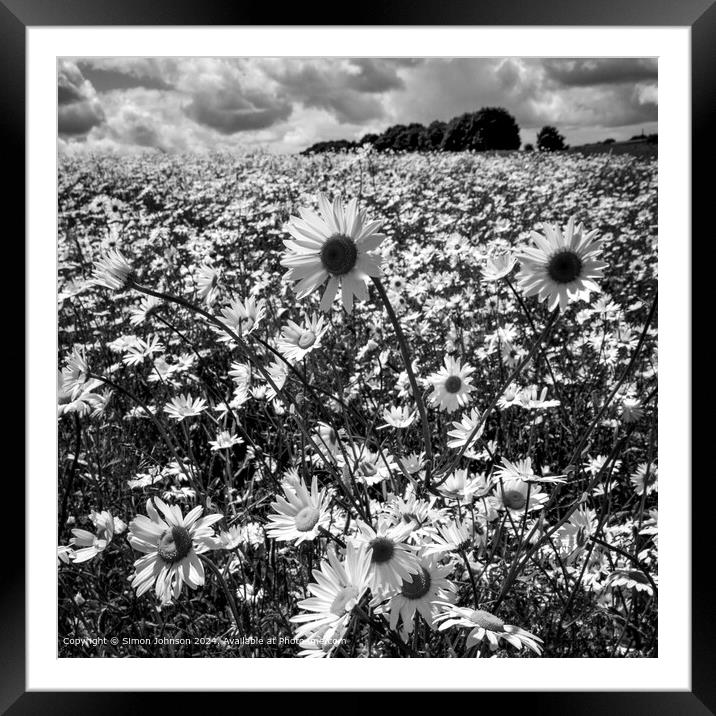 Sunlit Daisy Meadow Landscape Framed Mounted Print by Simon Johnson