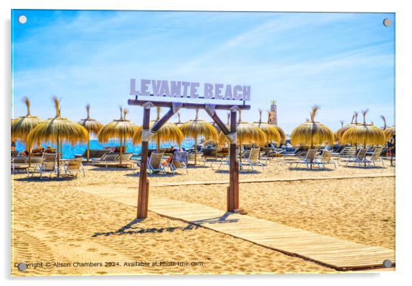 Levante Beach Puerto Banus Acrylic by Alison Chambers