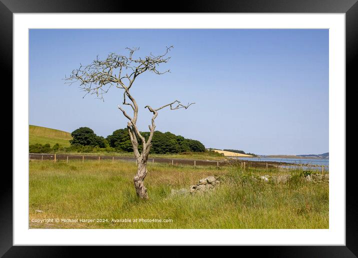 Windswept Hawthorn Tree Landscape in Killyleagh, County Down Framed Mounted Print by Michael Harper