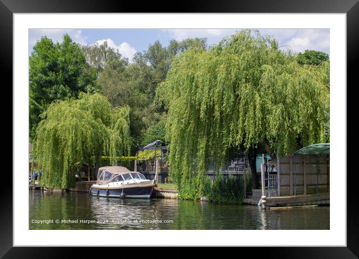 River Thames Greenery Reflections Framed Mounted Print by Michael Harper