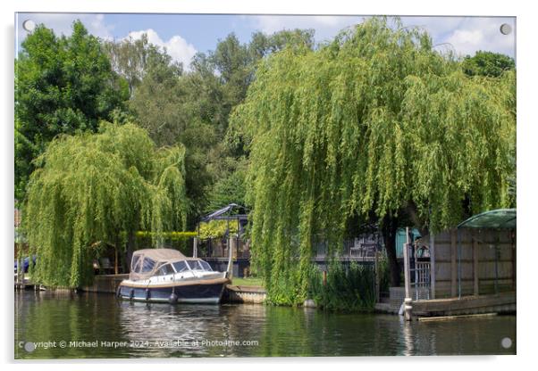 River Thames Greenery Reflections Acrylic by Michael Harper