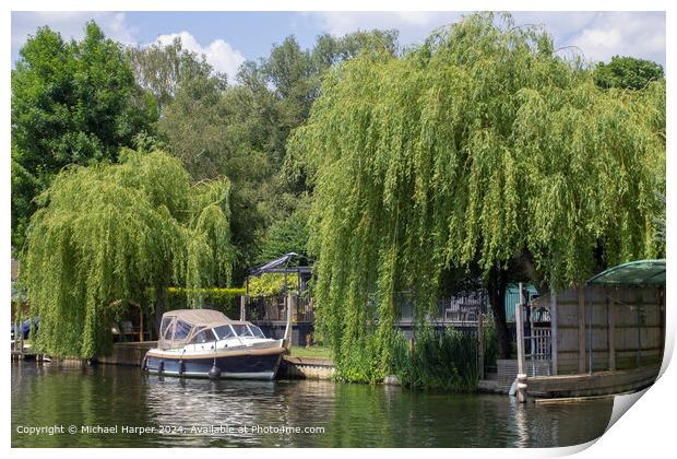 River Thames Greenery Reflections Print by Michael Harper