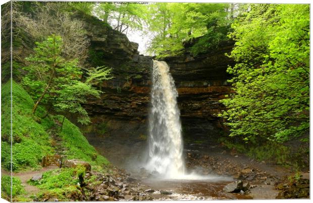 Hardraw Force Waterfall, Yorkshire Dales Canvas Print by Chris Petty