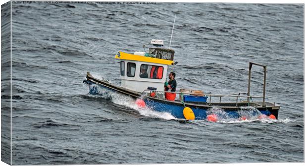 Burghead Lobster Fishing Boat Canvas Print by Tom McPherson